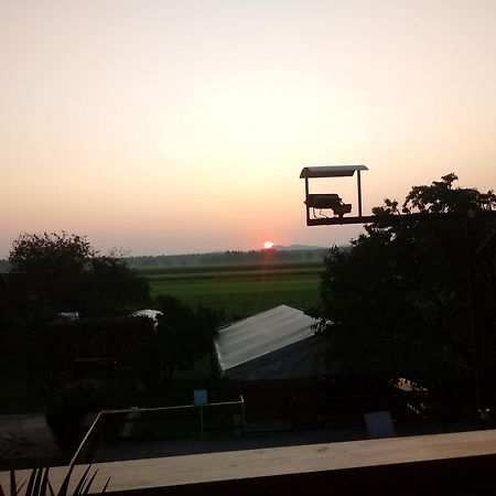 Guesthouse Zivko Dobrovce 외부 사진