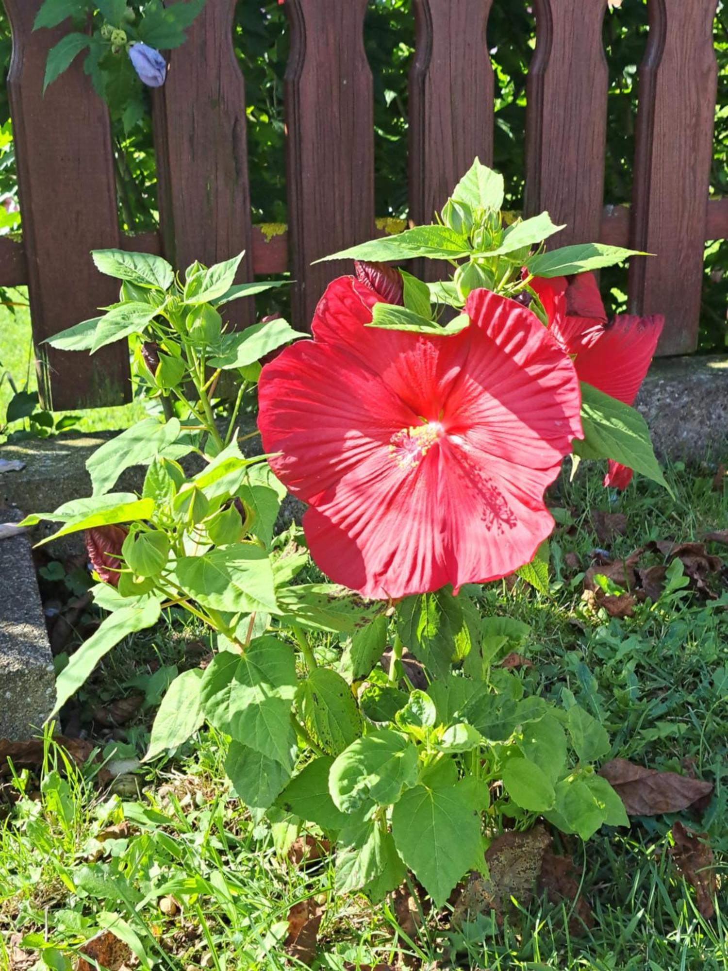 Guesthouse Zivko Dobrovce 외부 사진